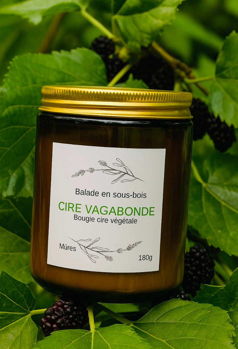 Bougie cire végétale 100% naturelle - Mûre